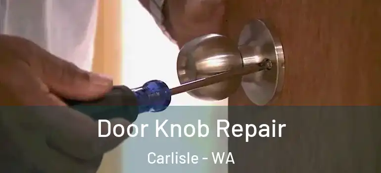  Door Knob Repair Carlisle - WA