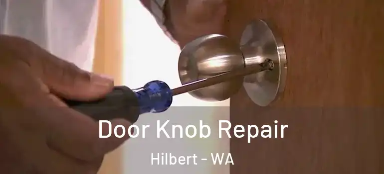  Door Knob Repair Hilbert - WA