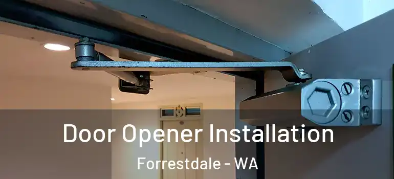  Door Opener Installation Forrestdale - WA