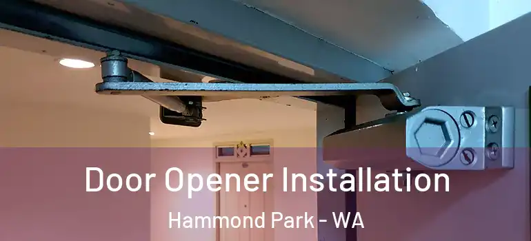  Door Opener Installation Hammond Park - WA