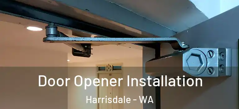 Door Opener Installation Harrisdale - WA