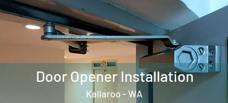 Door Opener Installation Kallaroo - WA