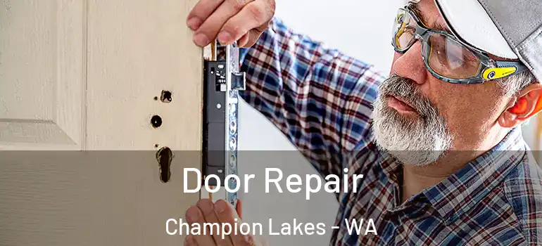  Door Repair Champion Lakes - WA