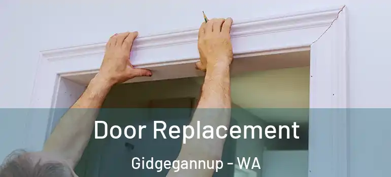 Door Replacement Gidgegannup - WA
