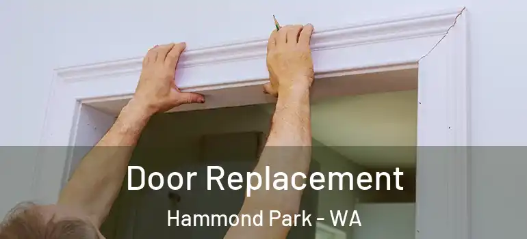 Door Replacement Hammond Park - WA