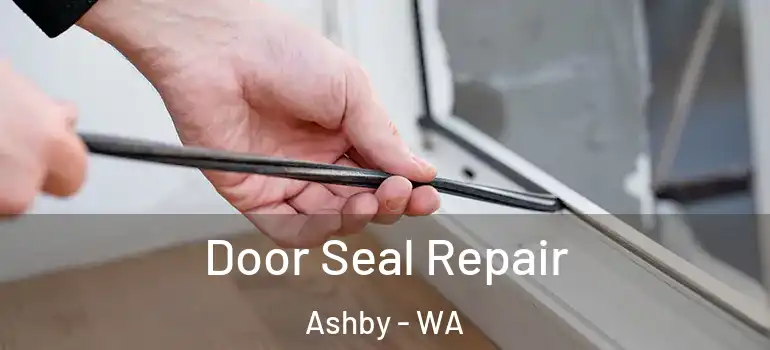  Door Seal Repair Ashby - WA