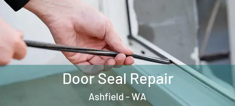  Door Seal Repair Ashfield - WA
