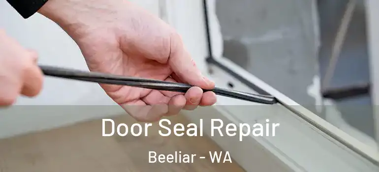  Door Seal Repair Beeliar - WA