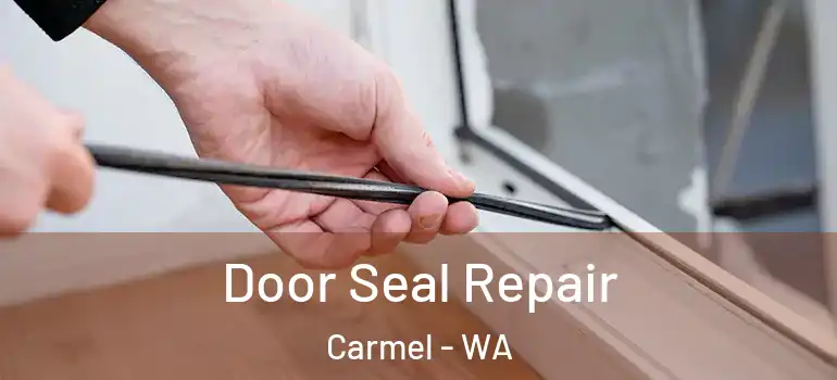 Door Seal Repair Carmel - WA