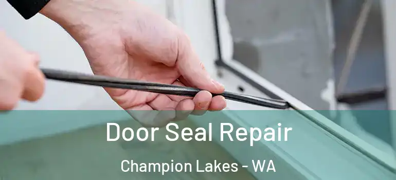 Door Seal Repair Champion Lakes - WA