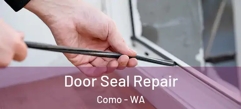  Door Seal Repair Como - WA