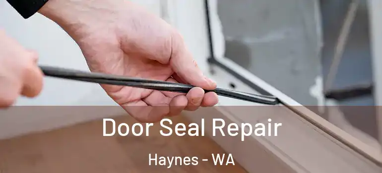  Door Seal Repair Haynes - WA