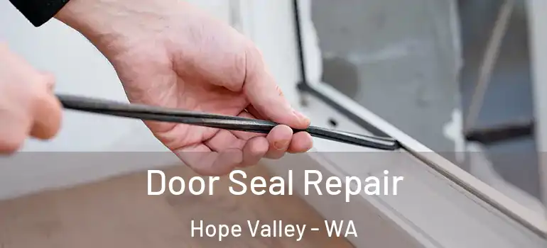Door Seal Repair Hope Valley - WA