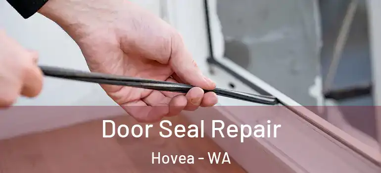  Door Seal Repair Hovea - WA