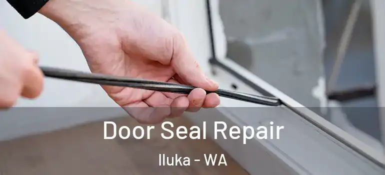  Door Seal Repair Iluka - WA