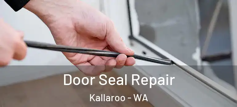 Door Seal Repair Kallaroo - WA