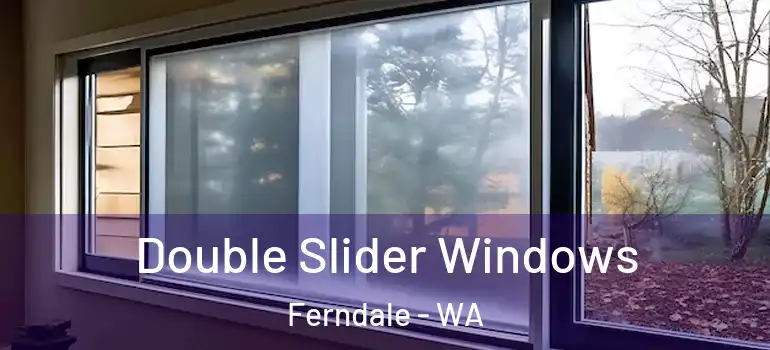 Double Slider Windows Ferndale - WA