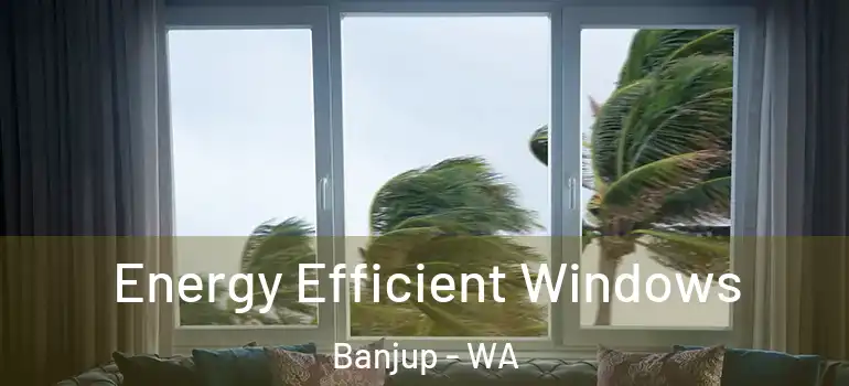Energy Efficient Windows Banjup - WA