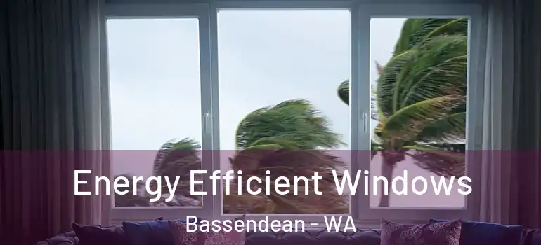 Energy Efficient Windows Bassendean - WA