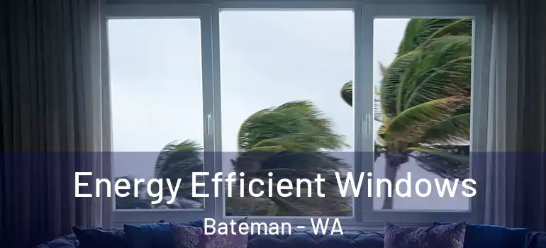 Energy Efficient Windows Bateman - WA