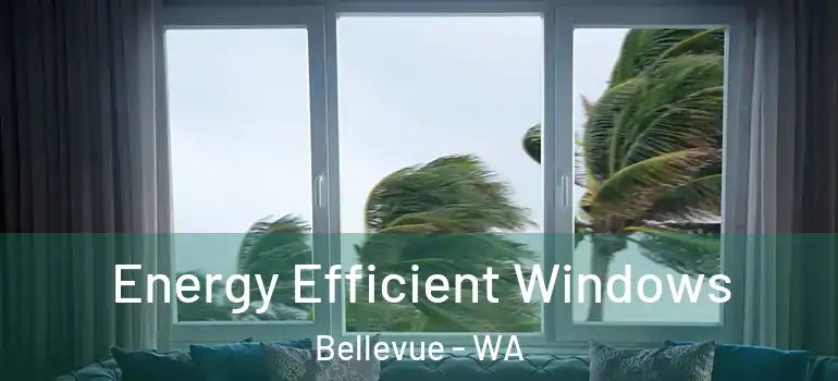 Energy Efficient Windows Bellevue - WA