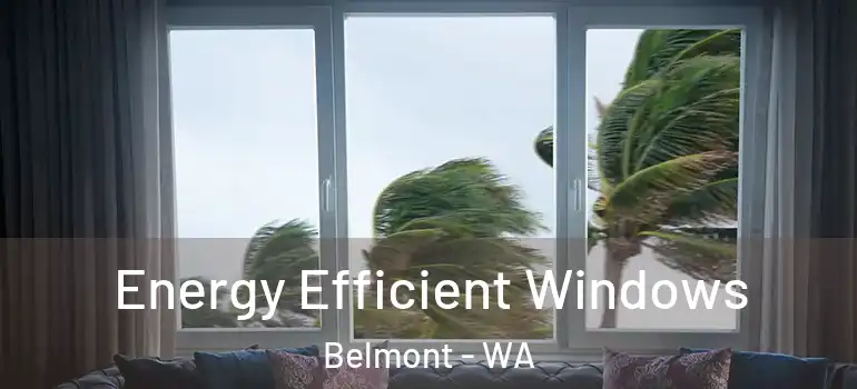 Energy Efficient Windows Belmont - WA