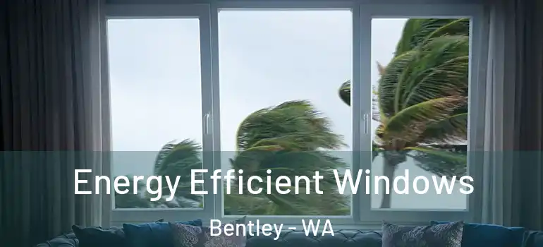 Energy Efficient Windows Bentley - WA