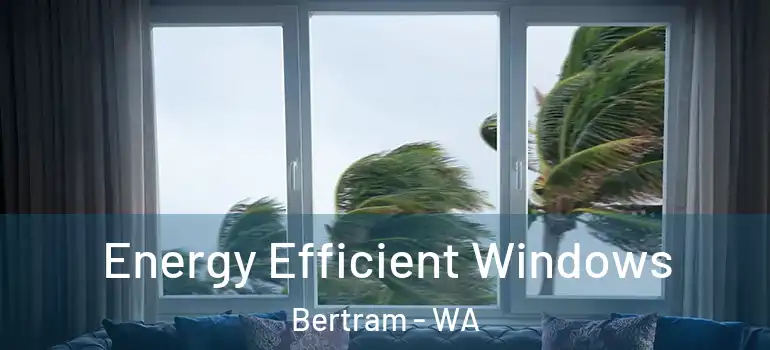  Energy Efficient Windows Bertram - WA