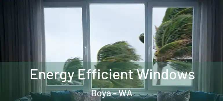 Energy Efficient Windows Boya - WA