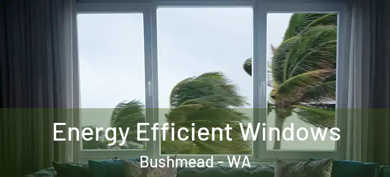 Energy Efficient Windows Bushmead - WA