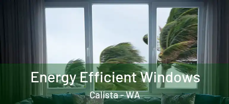 Energy Efficient Windows Calista - WA