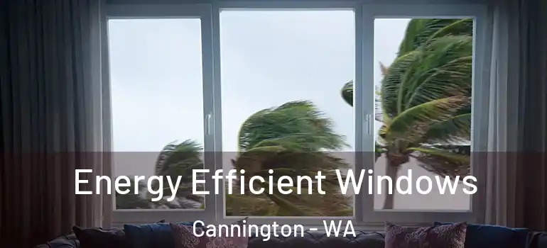 Energy Efficient Windows Cannington - WA