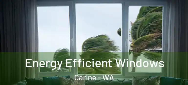 Energy Efficient Windows Carine - WA