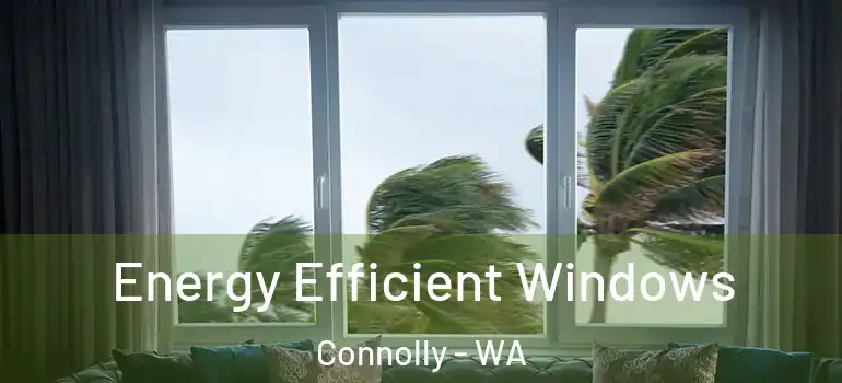 Energy Efficient Windows Connolly - WA