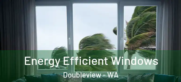 Energy Efficient Windows Doubleview - WA