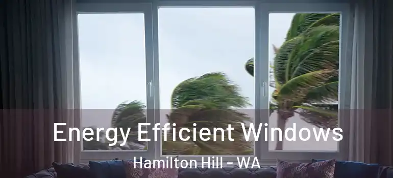  Energy Efficient Windows Hamilton Hill - WA