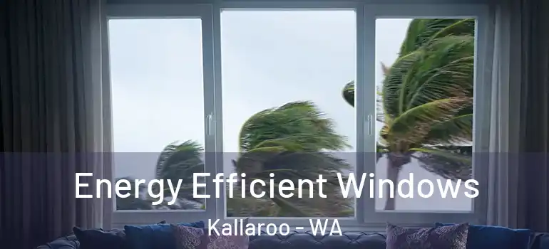  Energy Efficient Windows Kallaroo - WA