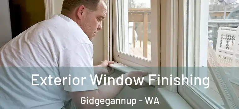  Exterior Window Finishing Gidgegannup - WA