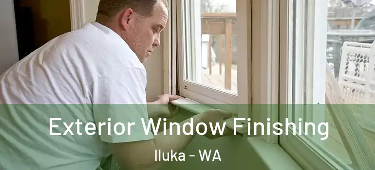 Exterior Window Finishing Iluka - WA