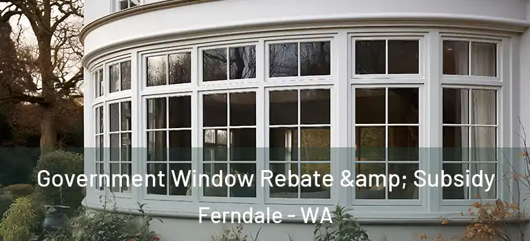 Government Window Rebate & Subsidy Ferndale - WA