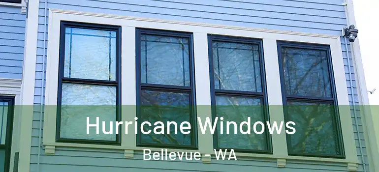 Hurricane Windows Bellevue - WA