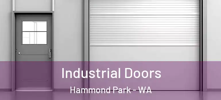 Industrial Doors Hammond Park - WA