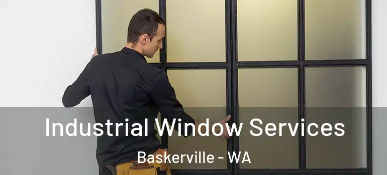  Industrial Window Services Baskerville - WA