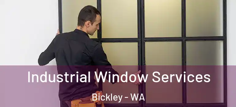  Industrial Window Services Bickley - WA