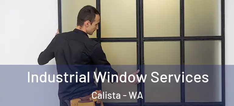  Industrial Window Services Calista - WA