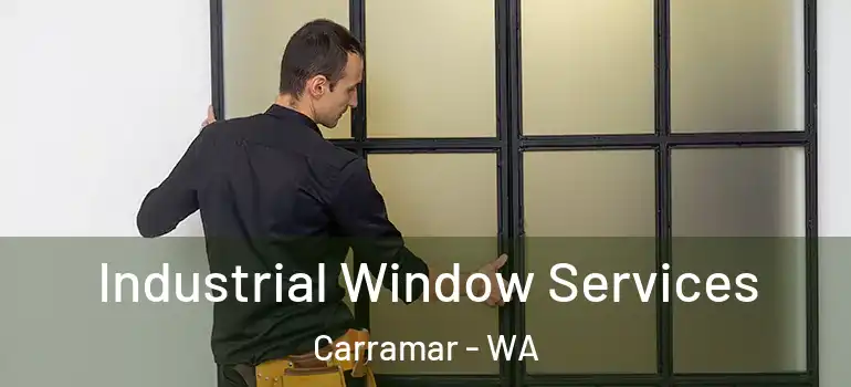 Industrial Window Services Carramar - WA