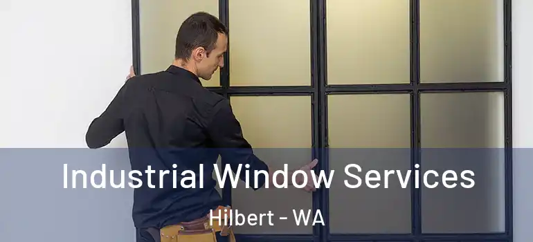  Industrial Window Services Hilbert - WA
