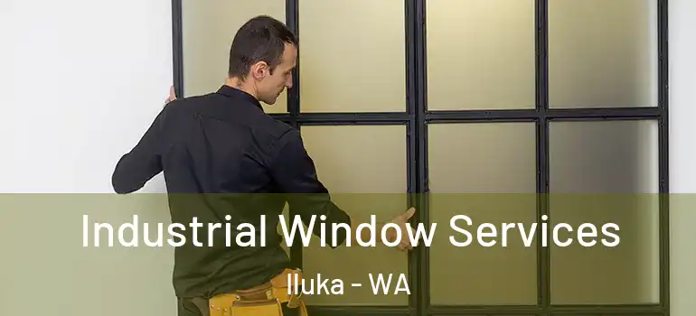  Industrial Window Services Iluka - WA