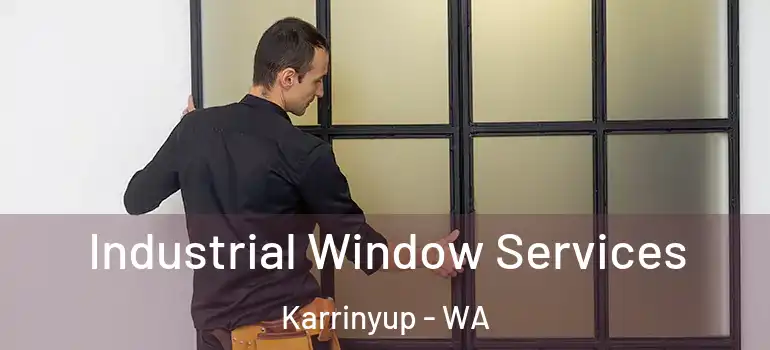 Industrial Window Services Karrinyup - WA