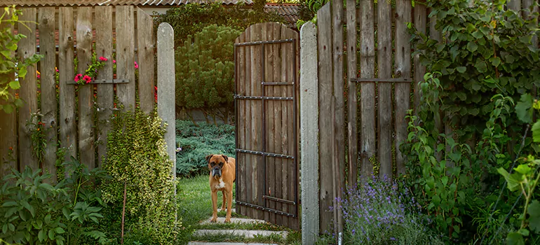 Winter Garden Garage Door Repair in Perth,Western Australia